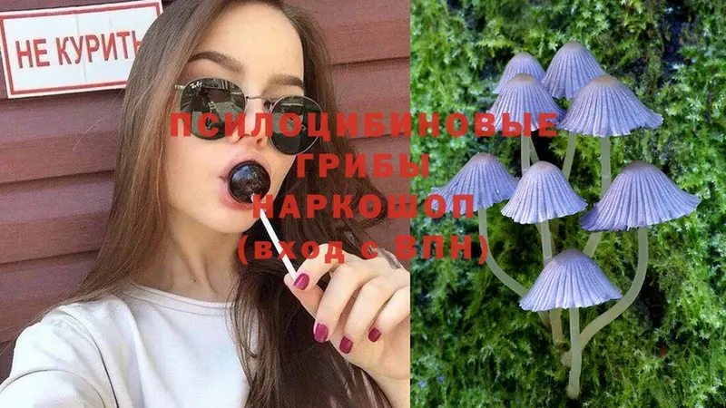 Псилоцибиновые грибы Magic Shrooms  Боровск 